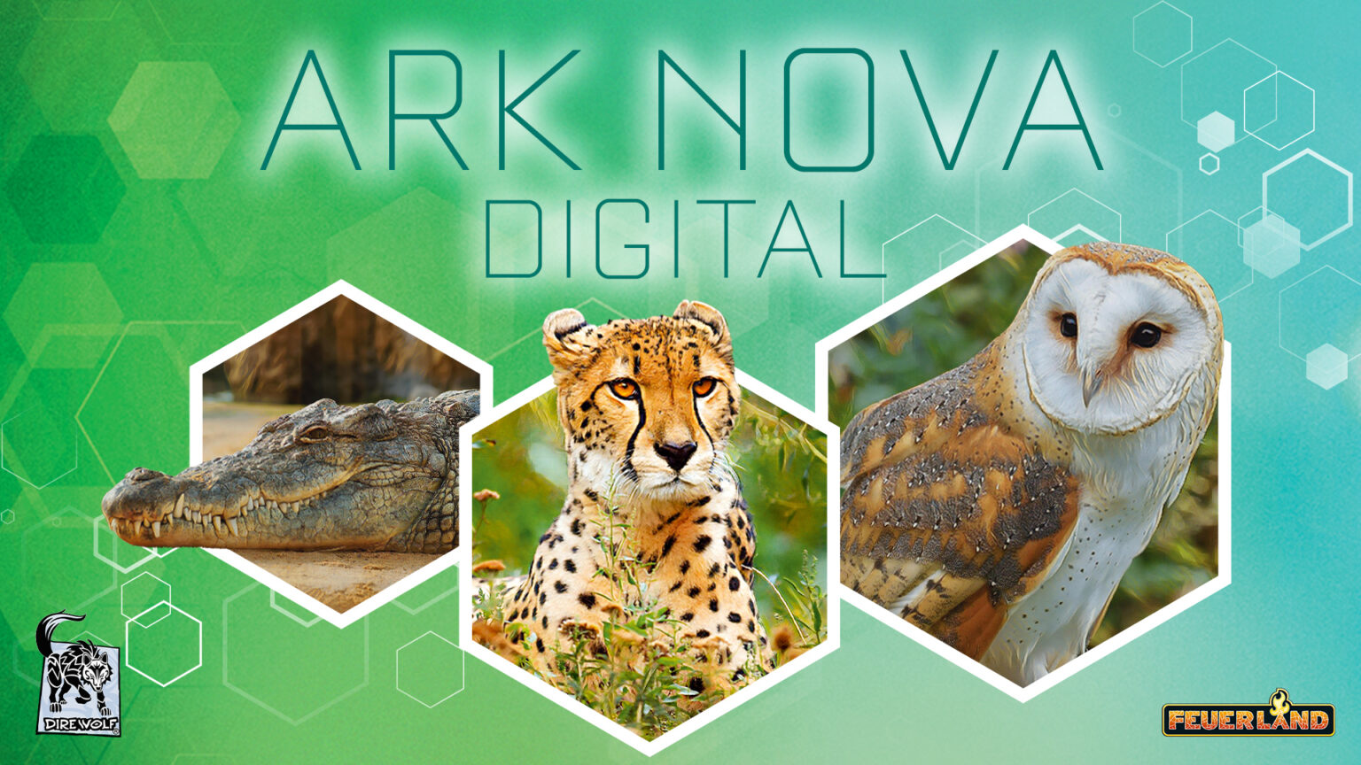 Building the Best Zoo – An Overview of Ark Nova - News - Dire Wolf Digital